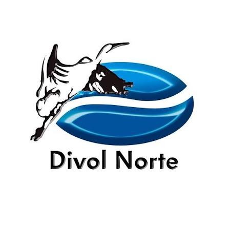 Logo Divol Norte